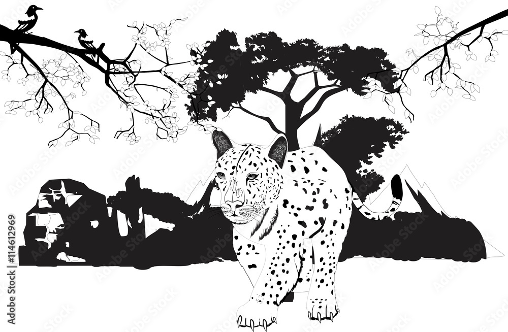 Fototapeta premium Leopard walking forest on background, tree branches, vector illustration