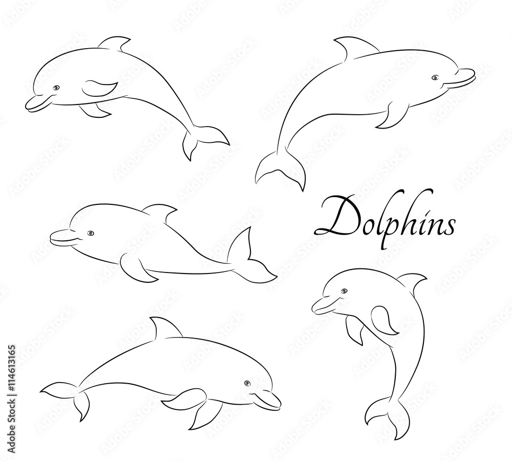 Fototapeta premium Line sketch illustration with five cute dolphins. Vector eps10.