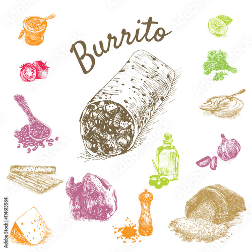 Vector illustration of burrito ingredients