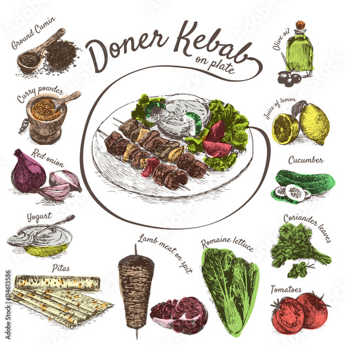 Vector illustration of doner kebab ingredients
