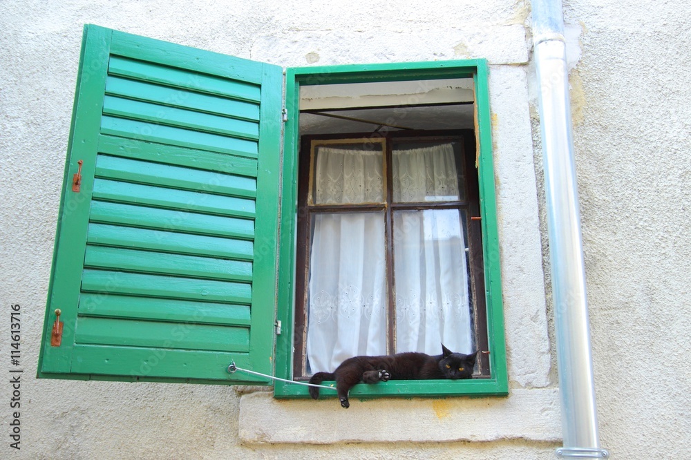 Cat's resting on window Cat's resting on window