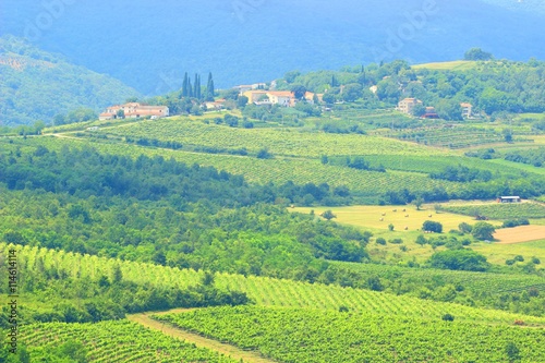 Typical landscape in Istria region in Croatia