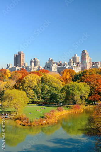 Fototapeta Naklejka Na Ścianę i Meble -  Central Park Autumn