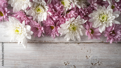 White and pink flowers on the white wooden background top view