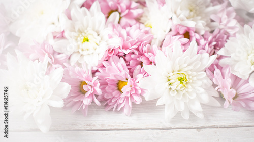 White and pink flowers on the white wooden background