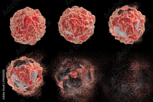 Fotografija Destruction of a tumor cell