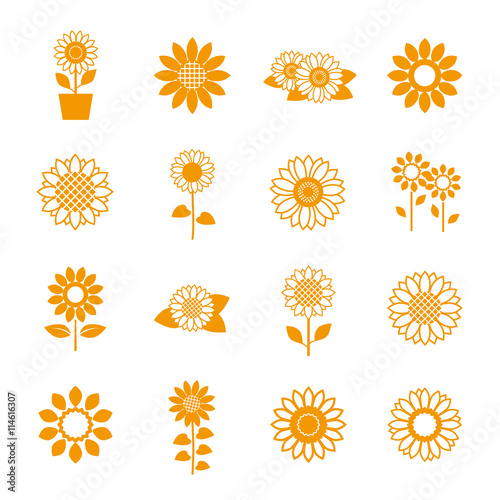 Fototapeta Naklejka Na Ścianę i Meble -  Sunflower icon set