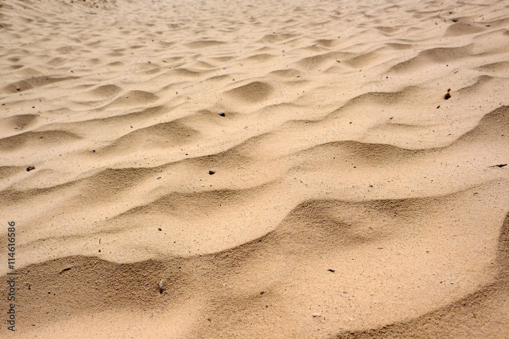 Fototapeta premium Sandy background at dunes