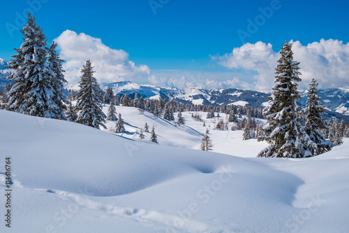 Winter landscape © Elisa Locci