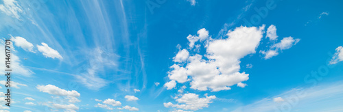 white soft clouds in the sky