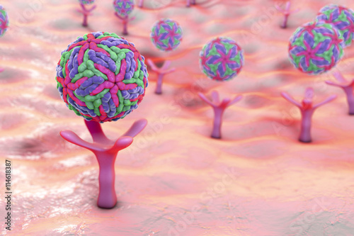 Zika virus attaching to AXL receptor on the surface of a neural stem cell, 3D illustration. Zika virus causes Zika fever leading to microcephaly in newborns