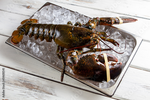 Raw lobster laying on ice. Lobster with tied claws. Seafood is the best delicacy. It's time to cook.