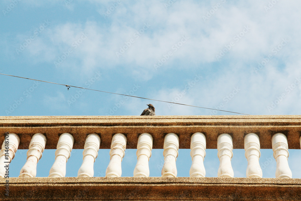 Fototapeta premium balustrade with bird on pillar on sky background
