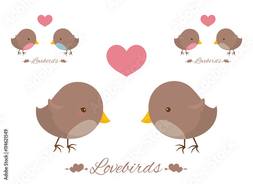 Lovebirds