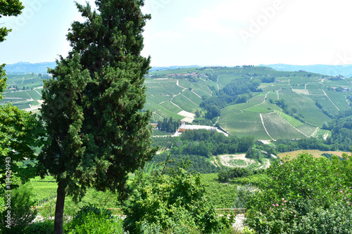 The Langhe landscape, Italy.
