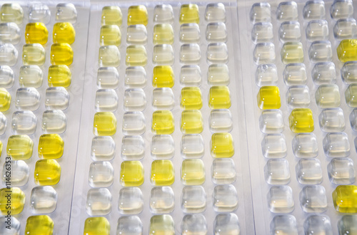 Cells for water analysis.Water analysis laboratory equipment photo