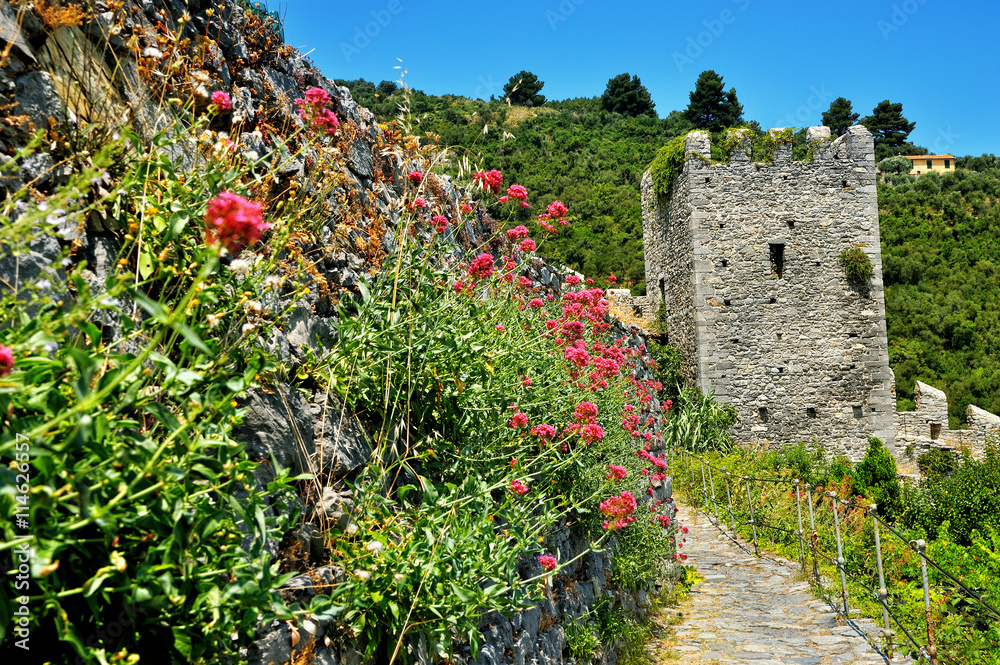 ancient tower of castle with willow herb and trail