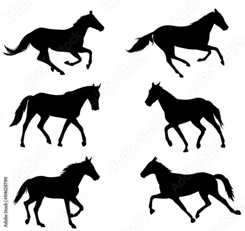 horses silhouettes collection - vector