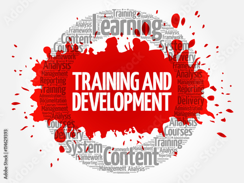 Training and Development circle word cloud, business concept