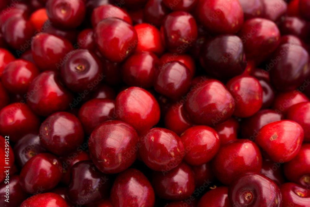 red cherry background. Red ripe delicious cherries red cherry background. Red ripe delicious cherries