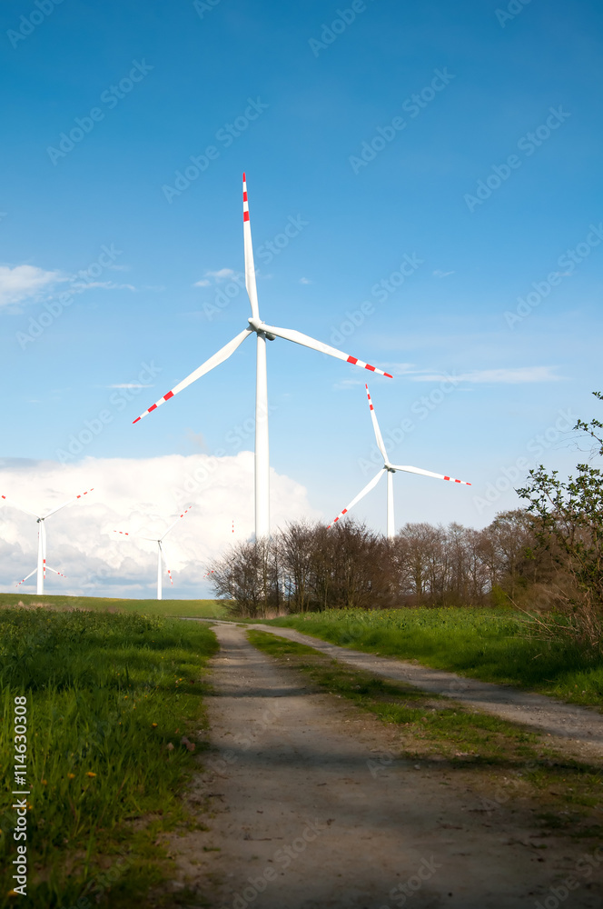 Wind turbines on the field