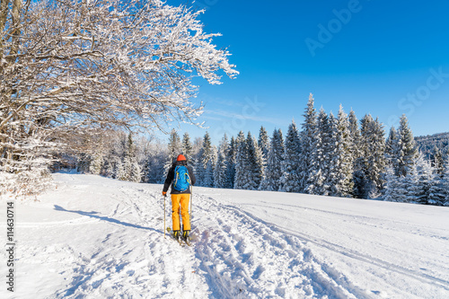 Skier on track in winter landscape of Beskid Sadecki Mountains, Poland