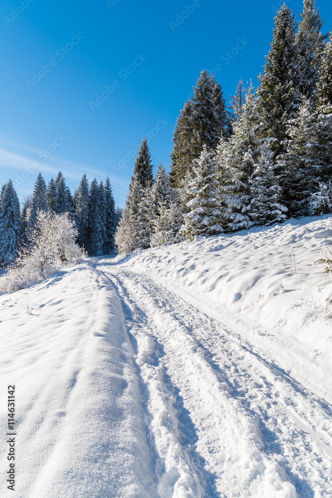 Winter path in Beskid Sadecki Mountains on sunny day, Poland Winter path in Beskid Sadecki Mountains on sunny day, Poland