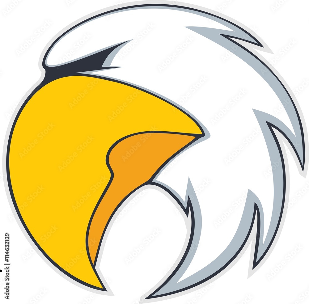 Naklejka premium Bold eagle bird 