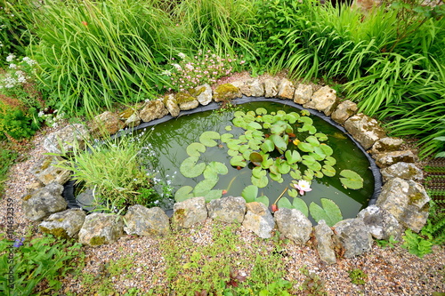Beautiful pond in cottage style garden in Devon, England