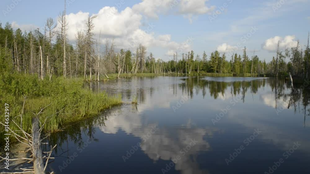 picturesque nature of Russia on the Yamal Peninsula picturesque nature of Russia on the Yamal Peninsula