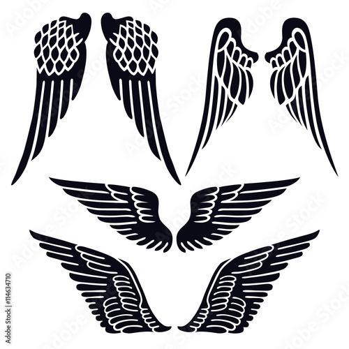 Angel wings set