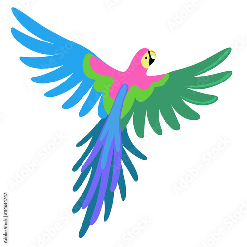 Macaw parrot