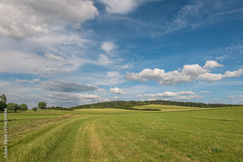 Landschaft im Sommer