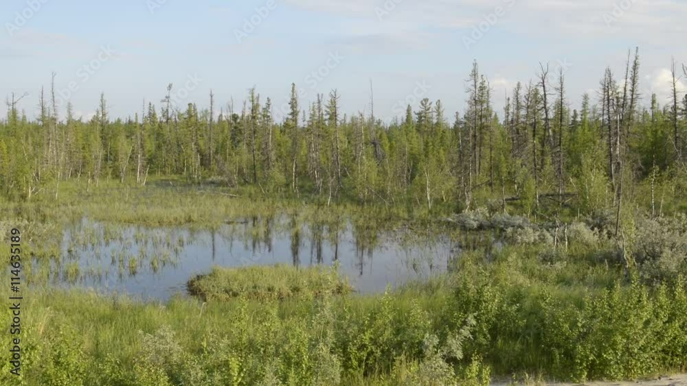 picturesque nature of Russia on the Yamal Peninsula picturesque nature of Russia on the Yamal Peninsula