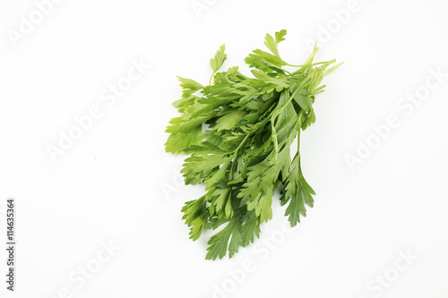 Maydanoz