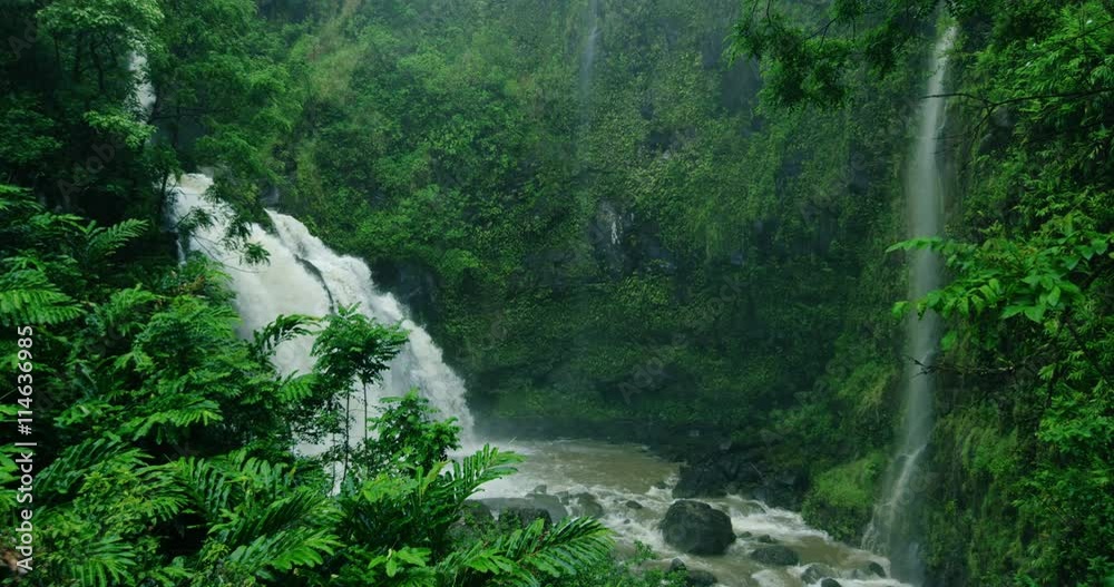 Amazing waterfall in tropical rain forest on the road to Hana in Maui, Hawaii