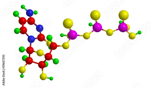 Molecular structure of Cytidine triphosphate