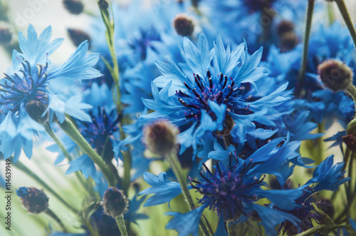 Blue bouquet of cornflower flowers with bokeh and copy space, floral  abstract background. Summer time. Rustic style. Macro image. Place for text. Selective focus.