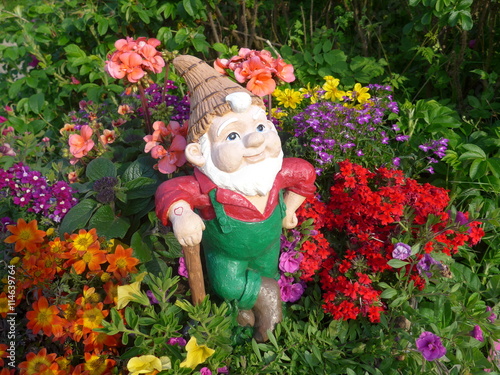 Garden Gnome with shovel in a flower bed