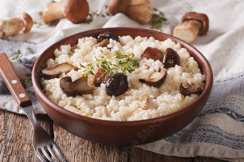 Italian food: risotto with wild mushrooms close up in a bowl. horizontal

