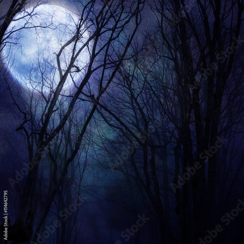 dark night forest agaist full moon