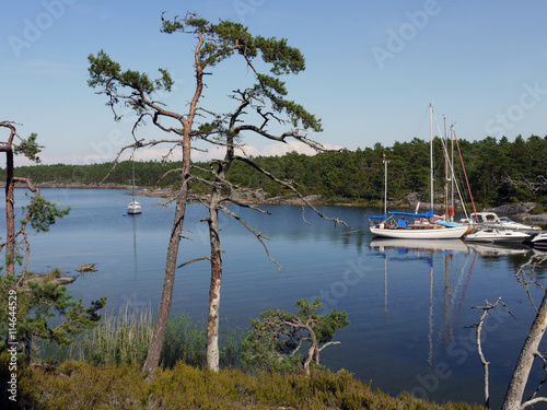 Traumbucht auf Djurö, einer Insel im Vänernsee photo