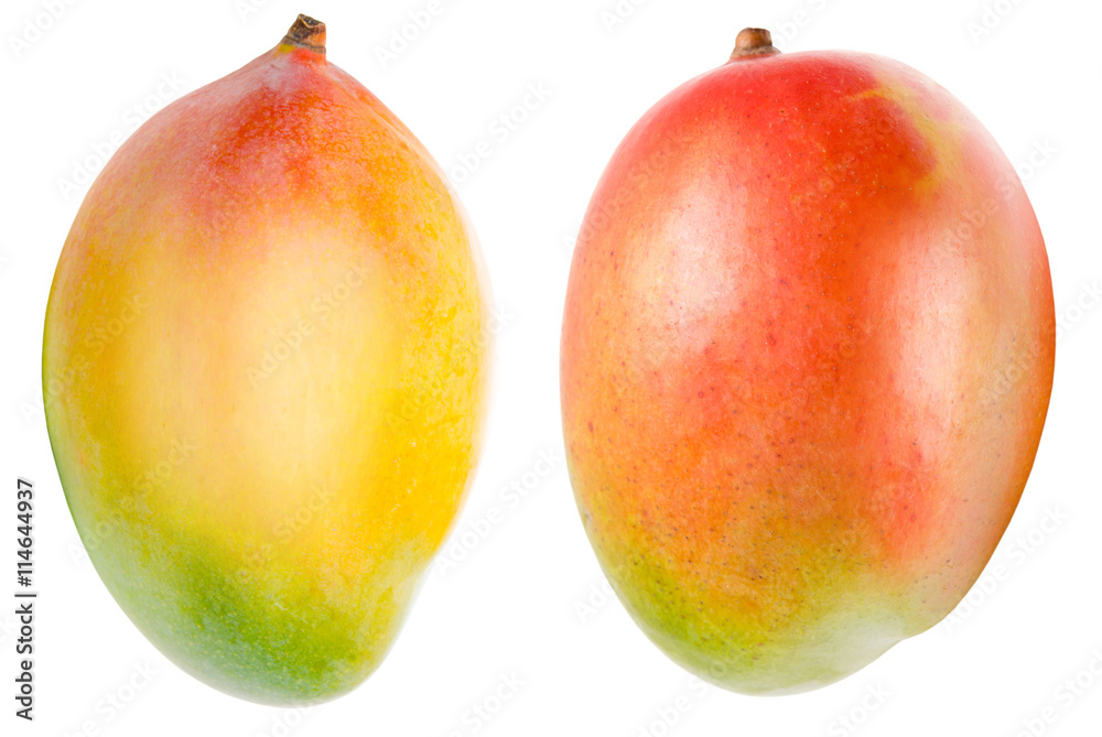 Mango isolated on white Mango isolated on white