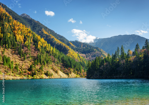 Beautiful view of the Arrow Bamboo Lake with azure crystal water © efired