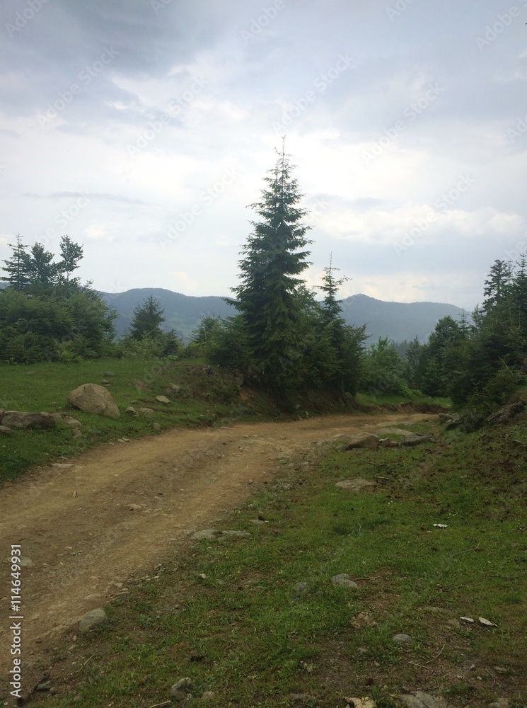 Obraz premium strada