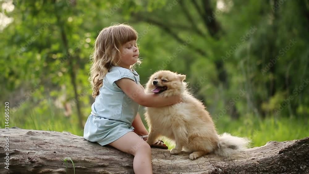 Little girl and pets. Girl hugging dog. Pedigree dogs Spitz. Cute Little girl and pets. Girl hugging dog. Pedigree dogs Spitz. Cute