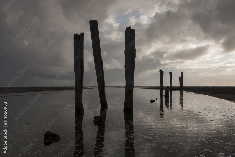 Silhouette of posts in water.