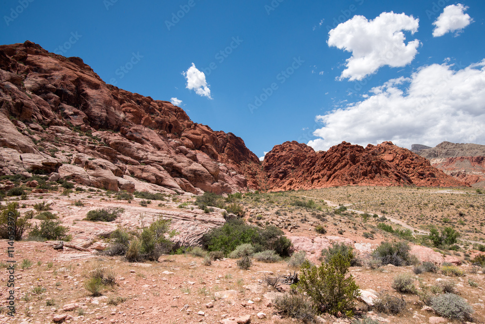 Calico Basin Red Springs at Red Rock Canyon