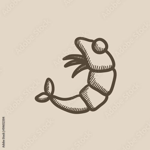 Shrimp sketch icon.