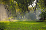 foggy of garden sprinker in public park bangkok thailand